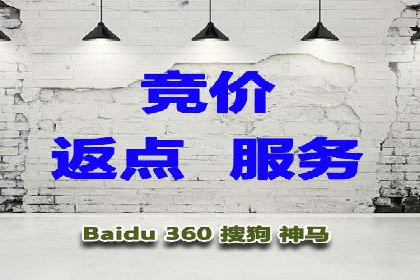 SEM推广代运营公司成功案例解析